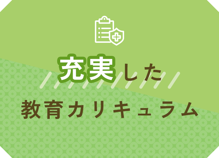 充実した教育カリキュラム